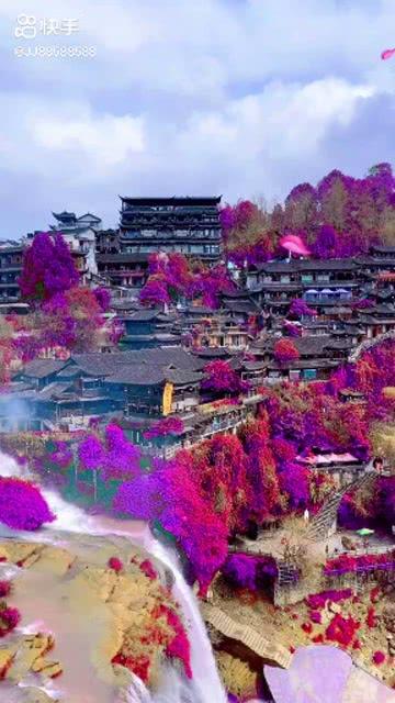 女性的两个卵巢，为啥一侧在“工作”，一侧在“休眠”？