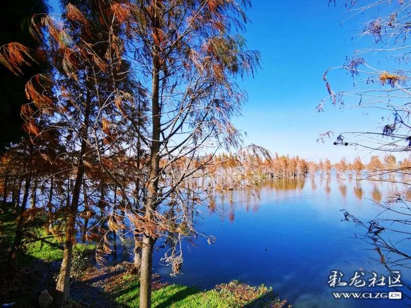 “三十年河东，三十年河西”指的是哪条河？河东和河西又是哪里？